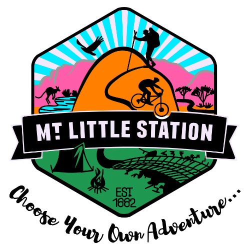 Mt. Little Station logo